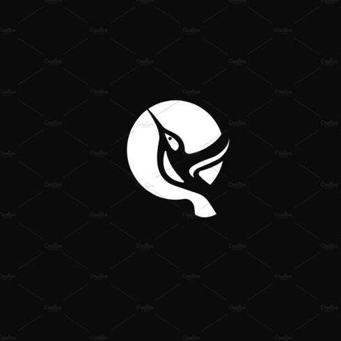 hummingbird logo cover image.