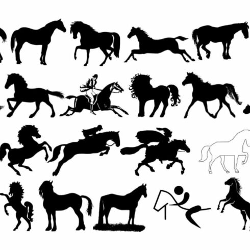 Horse Silhouette cover image.