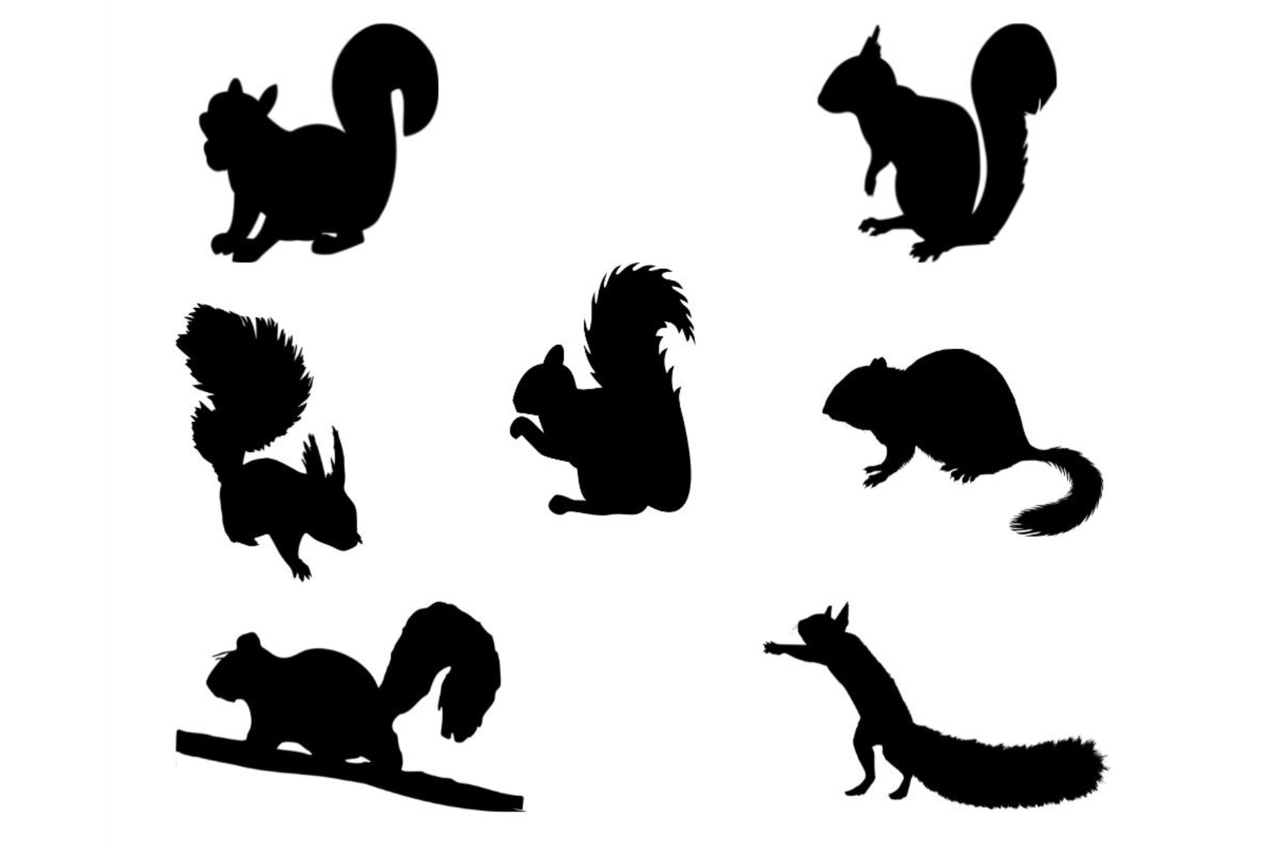 Squirrel Silhouette cover image.