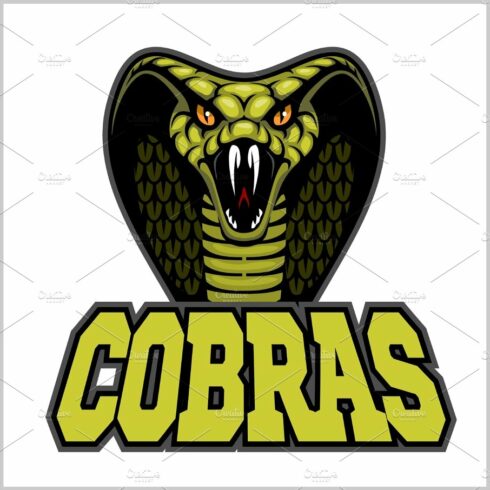 cobras green banner illustration design colorful cover image.