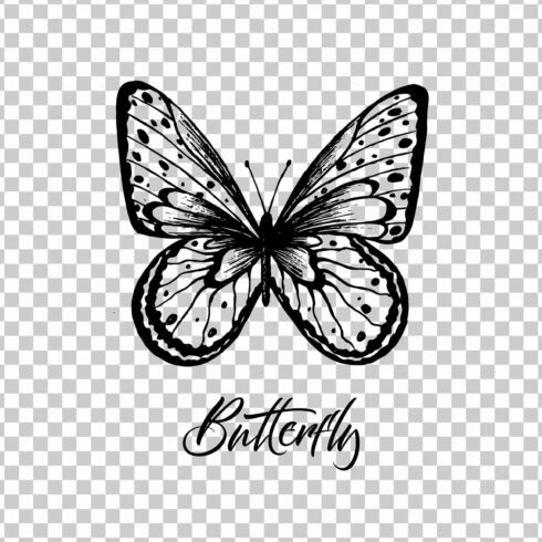 Butterfly. Vector illustration cover image.