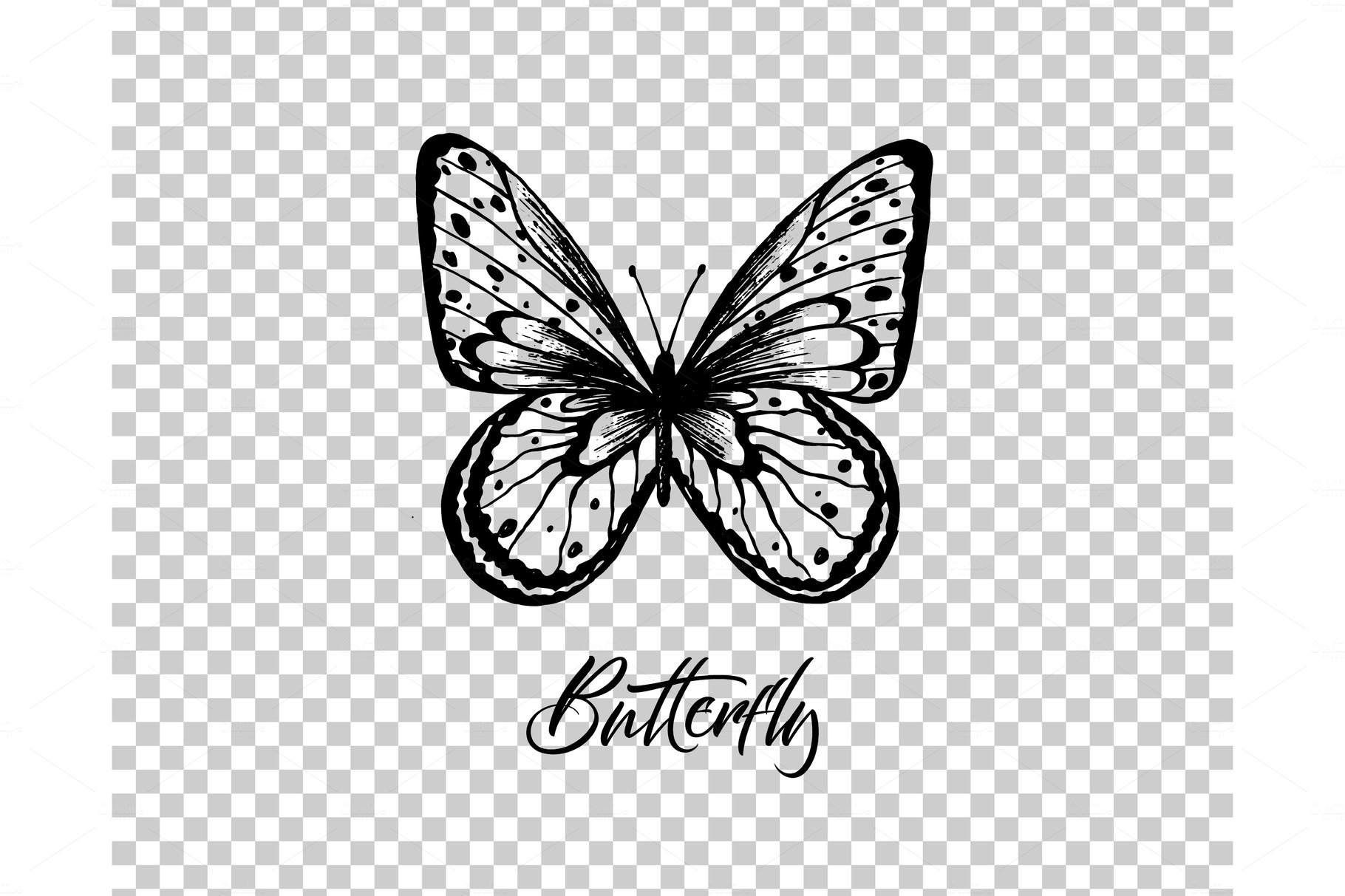 Butterfly. Vector illustration cover image.