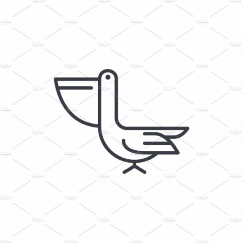 pelican vector line icon, sign, illustration on background, editable strokes cover image.
