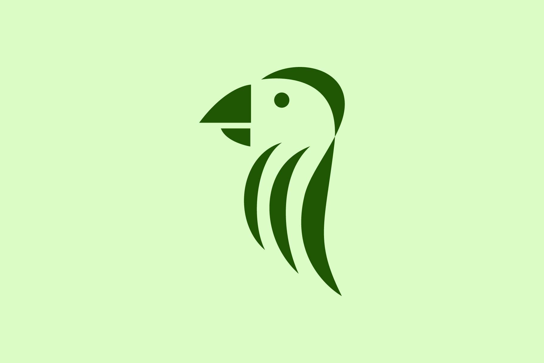 simple parrot logo cover image.
