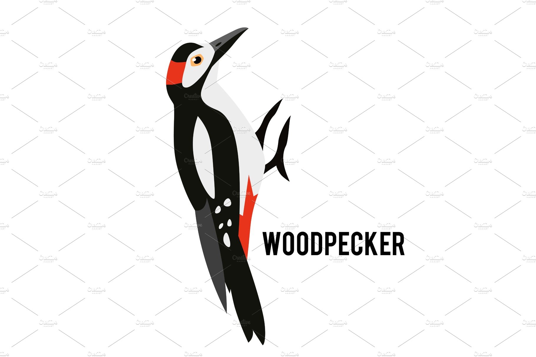 Great Spotted Woodpecker. Winter bird in a flat style. Forest animal. cover image.