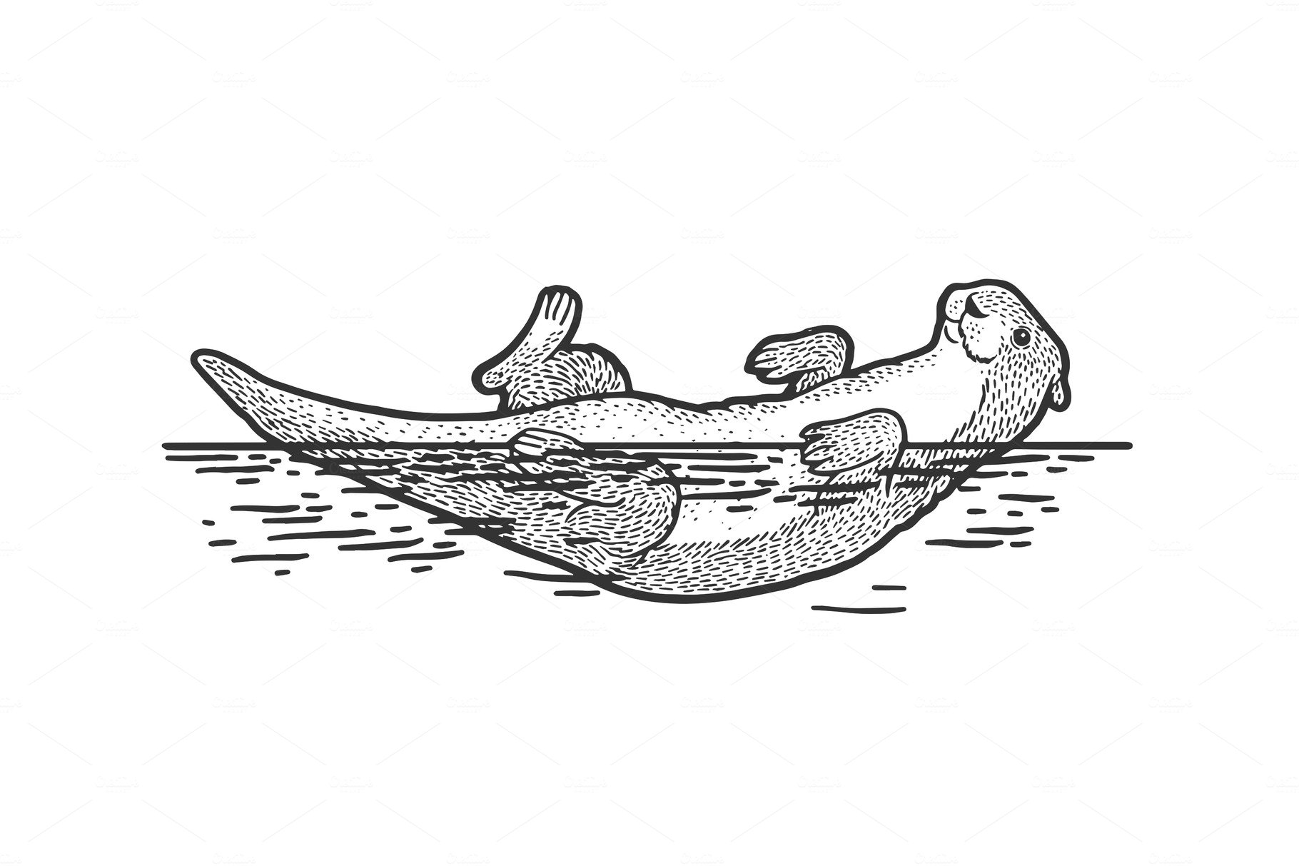 river otter swimming drawing
