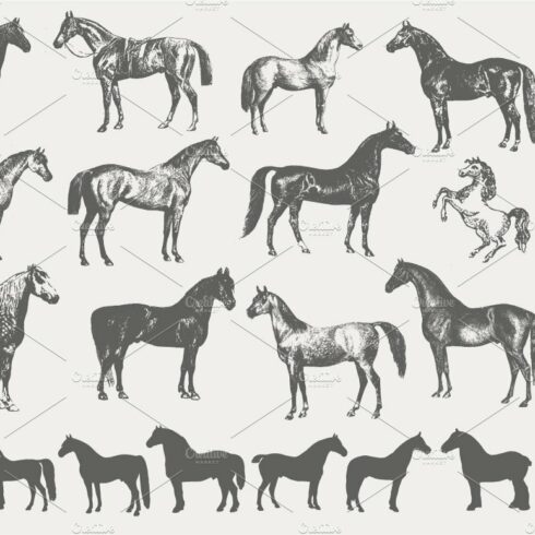 Vintage Horse Illustrations cover image.