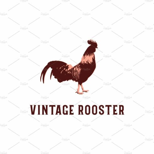 Vintage Rooster Logo Design cover image.