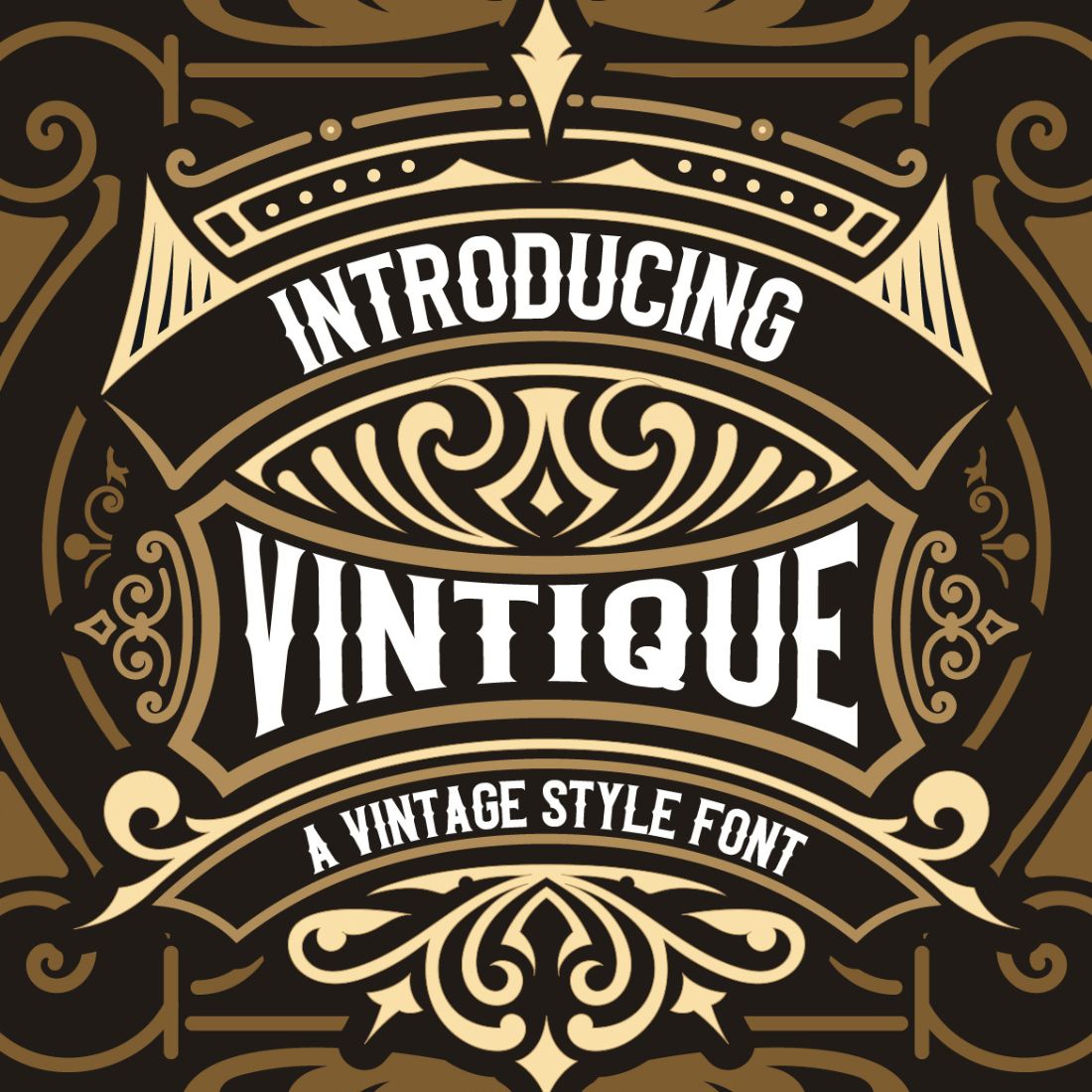 Vintique Vintage Font cover image.