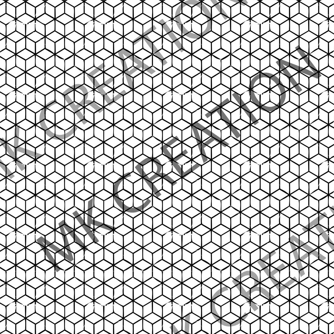 Black and white image of a pattern.