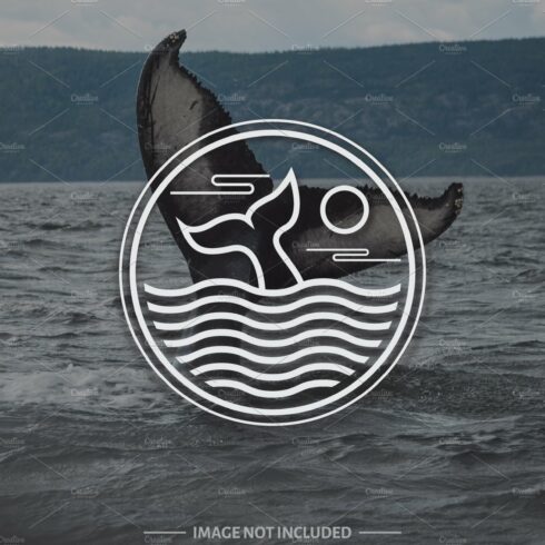 Whale tail logo design template cover image.