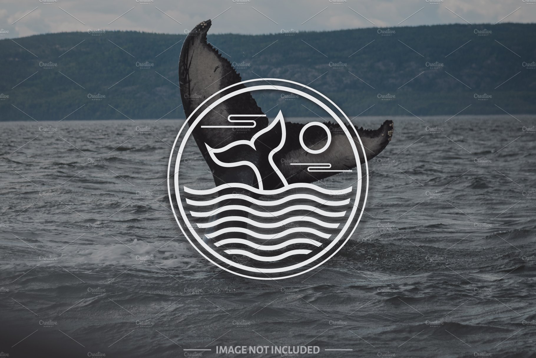 Whale tail logo design template cover image.