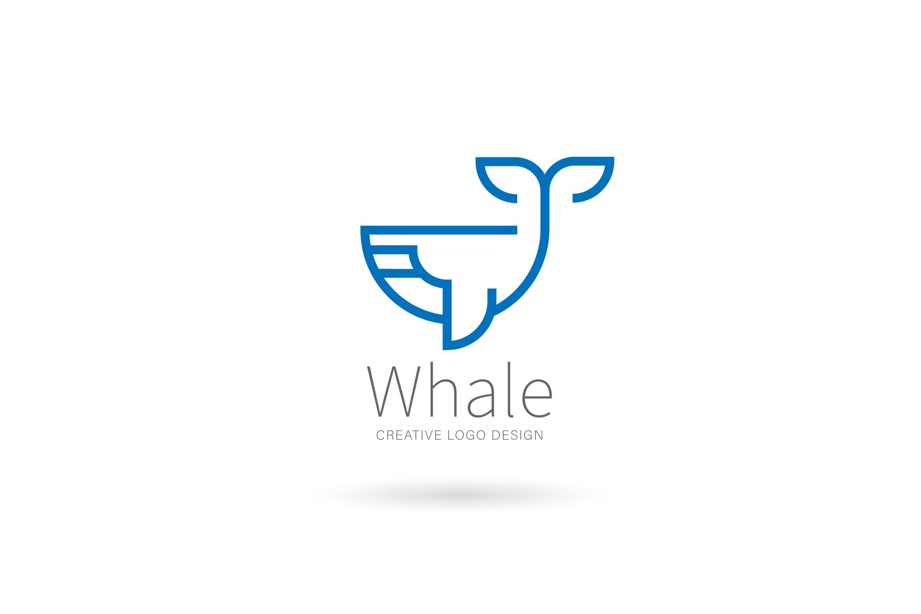 Whale logo cover image.