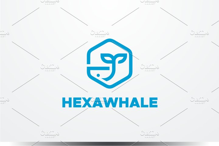 Hexa Whale Logo cover image.