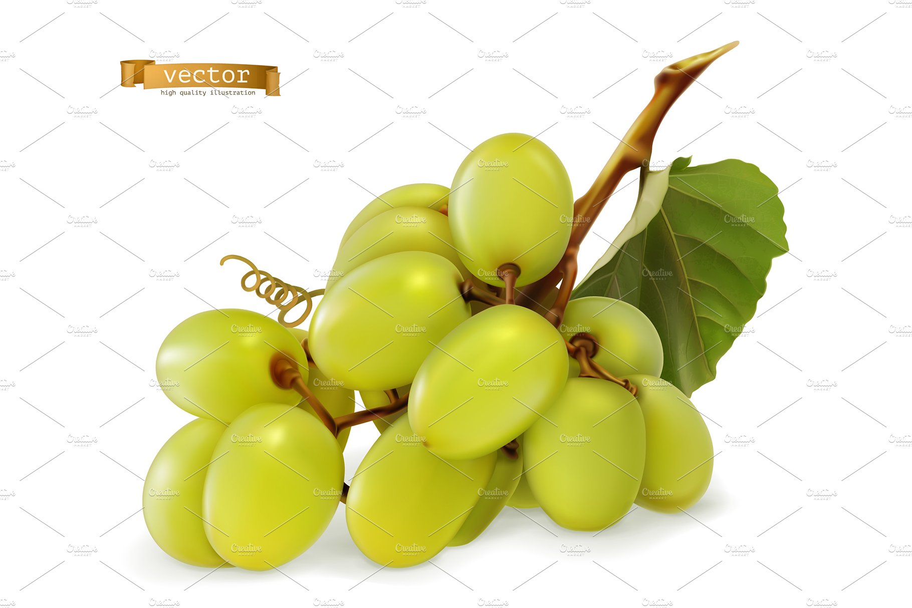 white grapes sweet wine grapes dessert grapes. fresh fruits vector icon 49