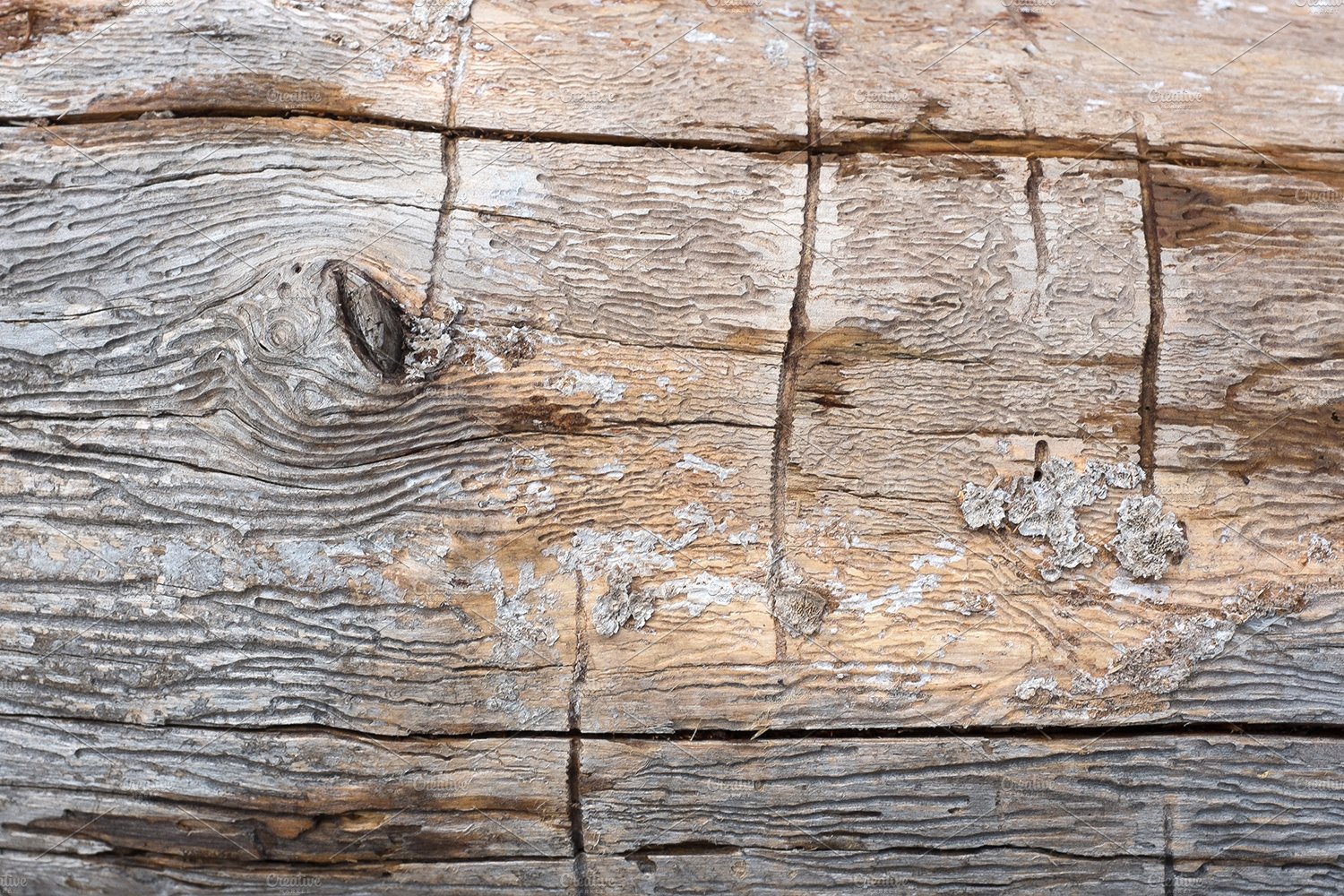 wood textures thumb 2 copy 596