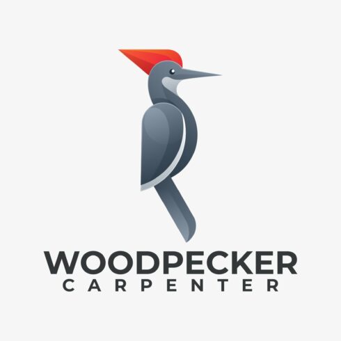 Woodpecker Gradient Colorful Style. cover image.