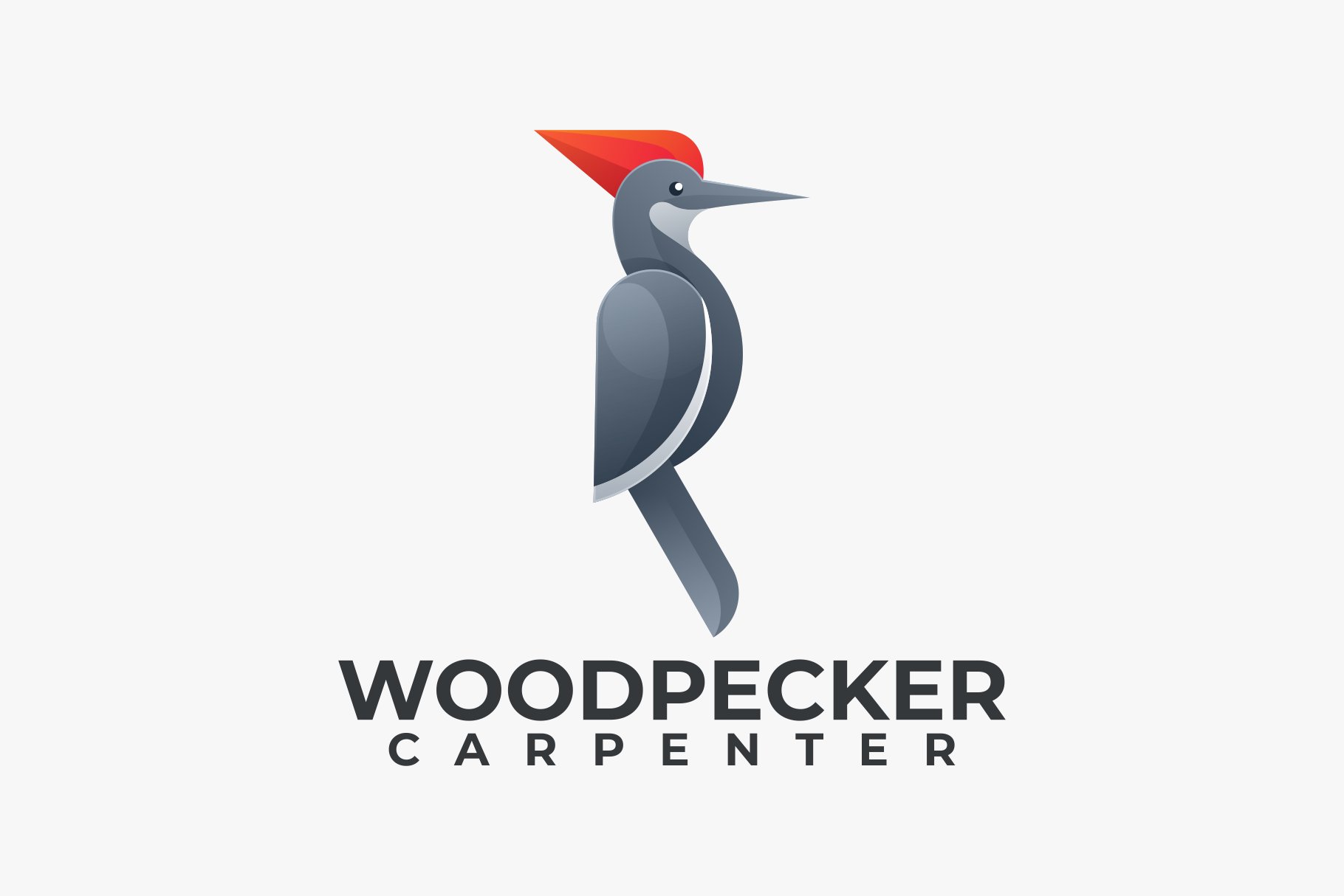 Woodpecker Gradient Colorful Style. cover image.