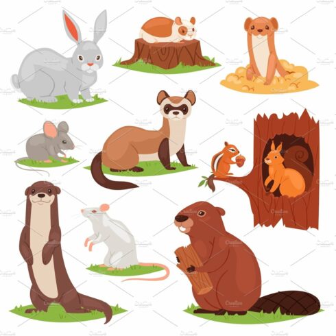 Forest animals vector cartoon animalistic characters squirrel in hollow and... cover image.