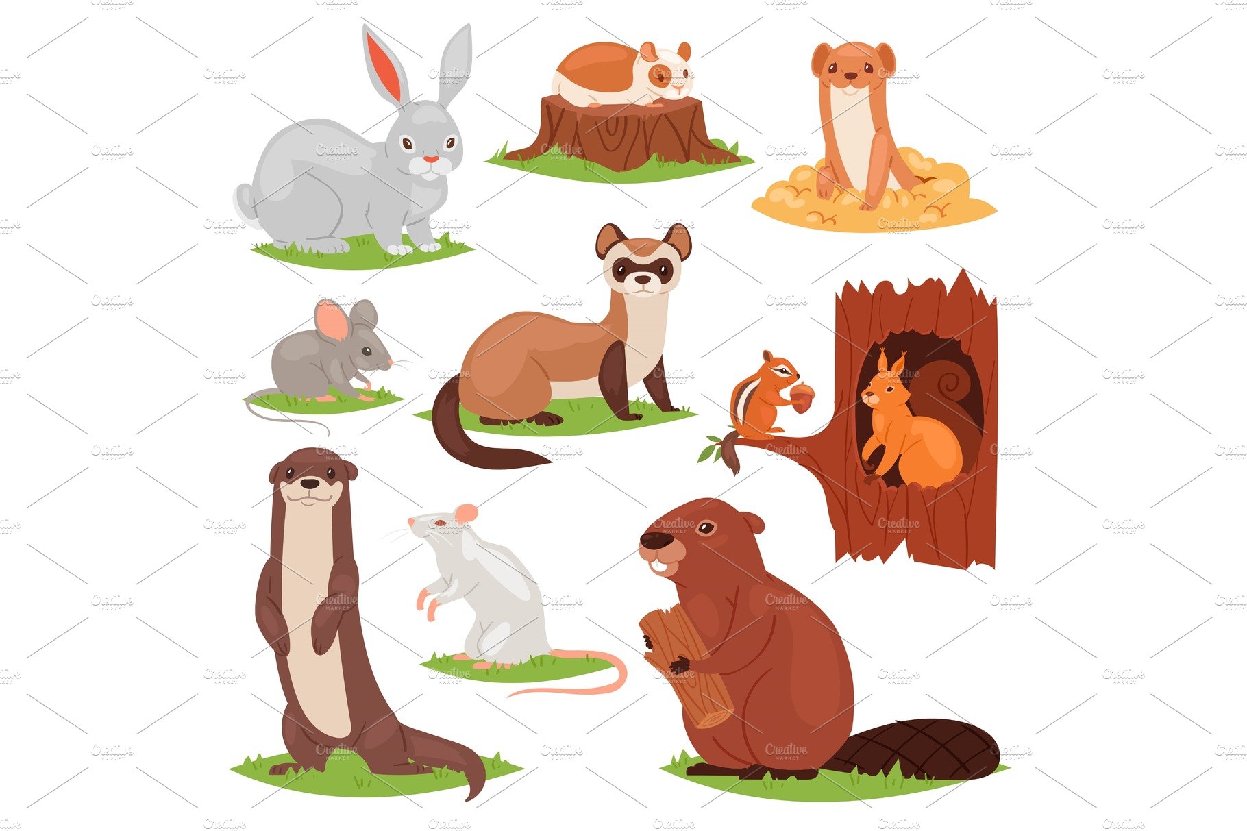 Forest animals vector cartoon animalistic characters squirrel in hollow and... cover image.
