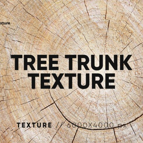 20 Tree Trunk Textures cover image.