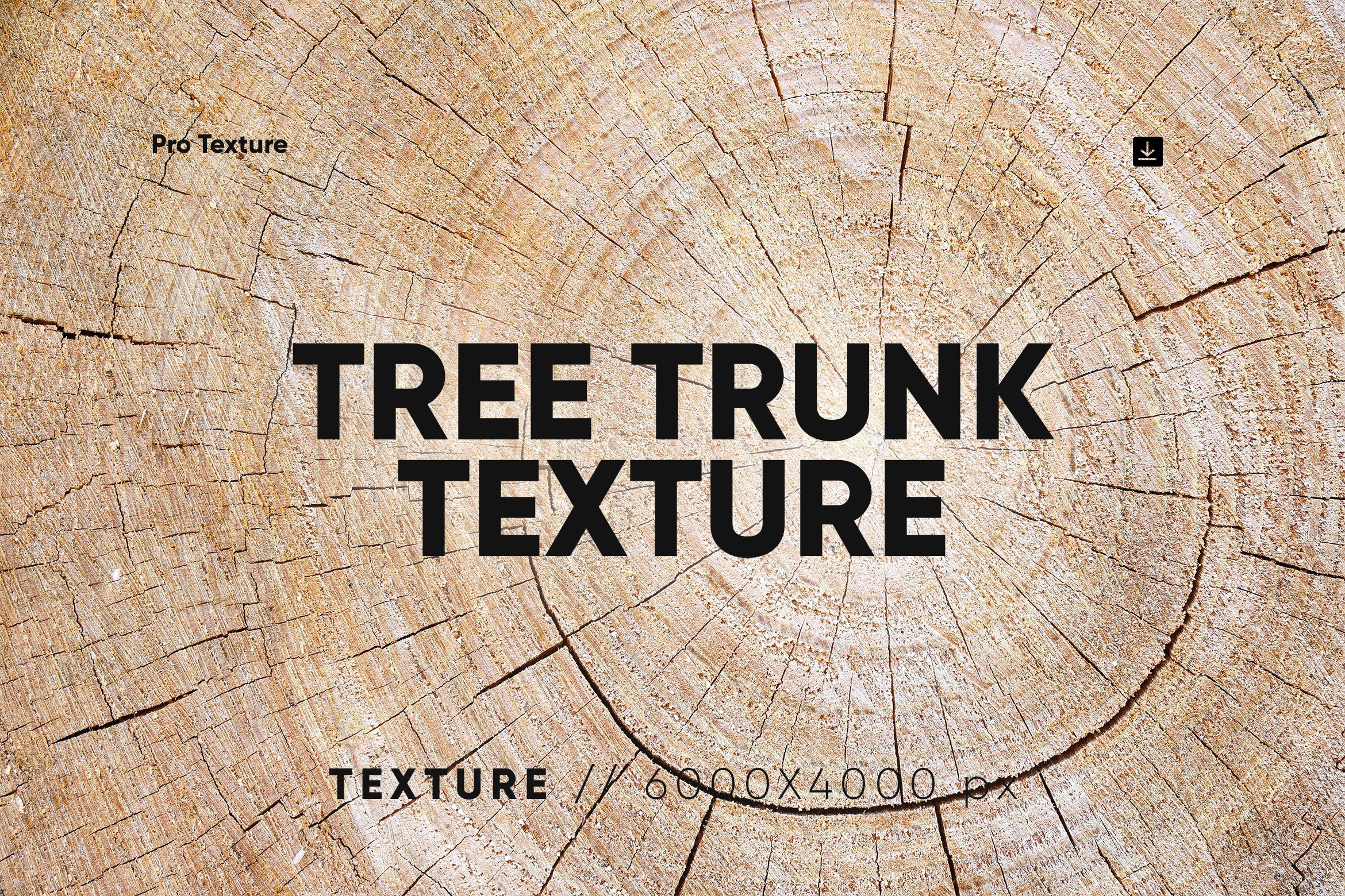 20 Tree Trunk Textures cover image.