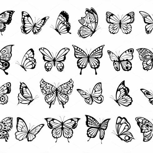 Butterfly collection. Beautiful cover image.