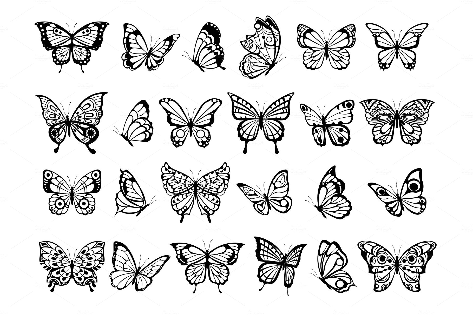 Butterfly collection. Beautiful cover image.