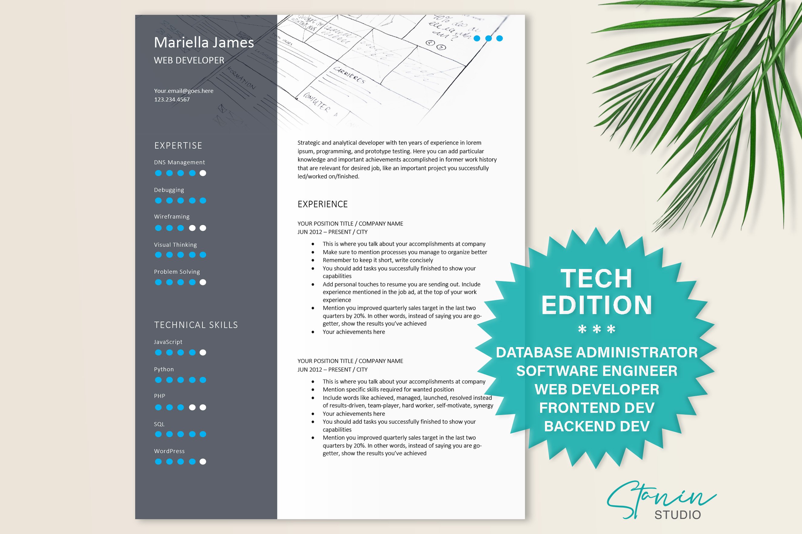 Developer Resume Template | Tech CV cover image.