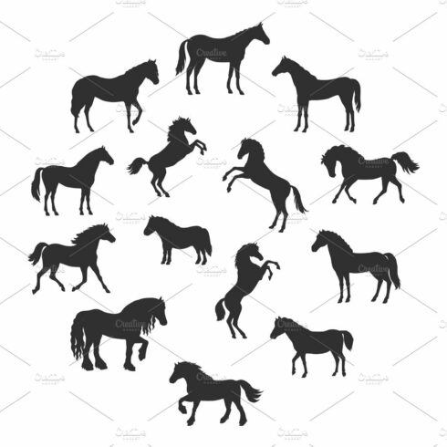 Set of Vector Silhouettes of Horses Breeds cover image.