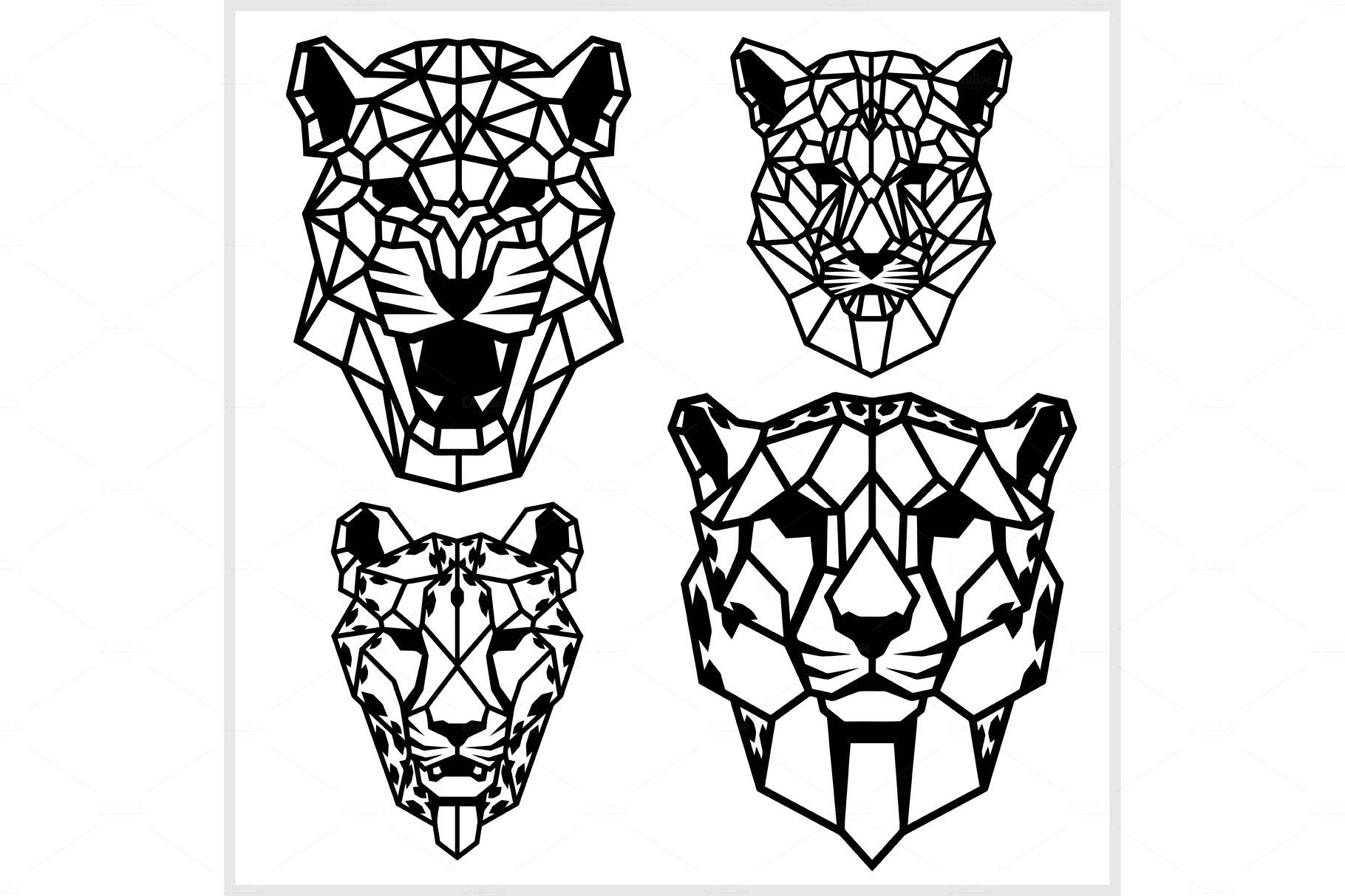 Cheetah and panter - animal heads cover image.