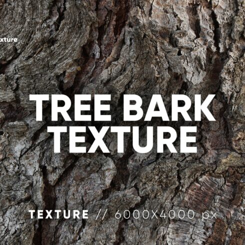 20 Tree Bark Textures cover image.
