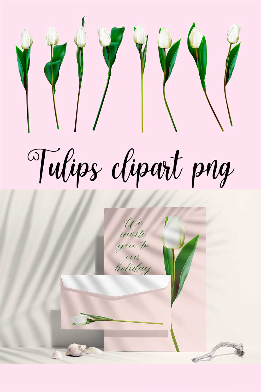 White tulips clipart vector, png, jpeg pinterest preview image.