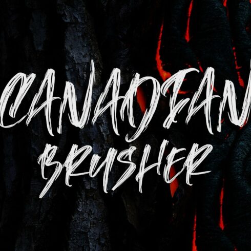 Canadian Brusher - Hipster Typeface cover image.