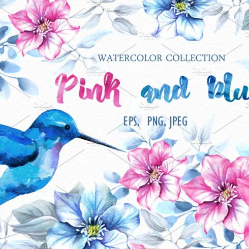 Pink and blue. Watercolor collection cover image.