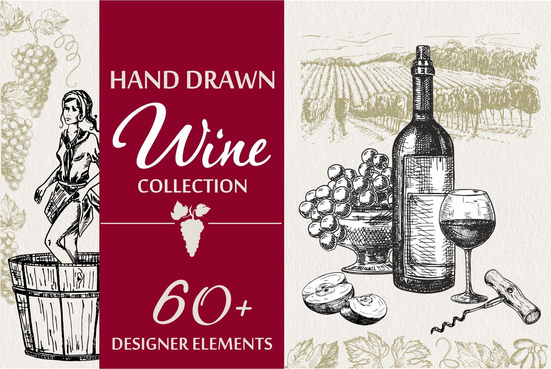 Wine & Grapes Illustations Set cover image.