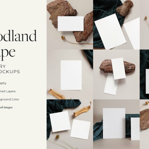 Natural Stationery Mockup Collection cover image.