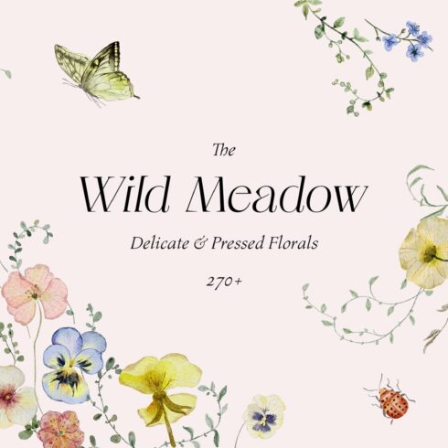 Wild Meadow - Delicate & Pressed cover image.