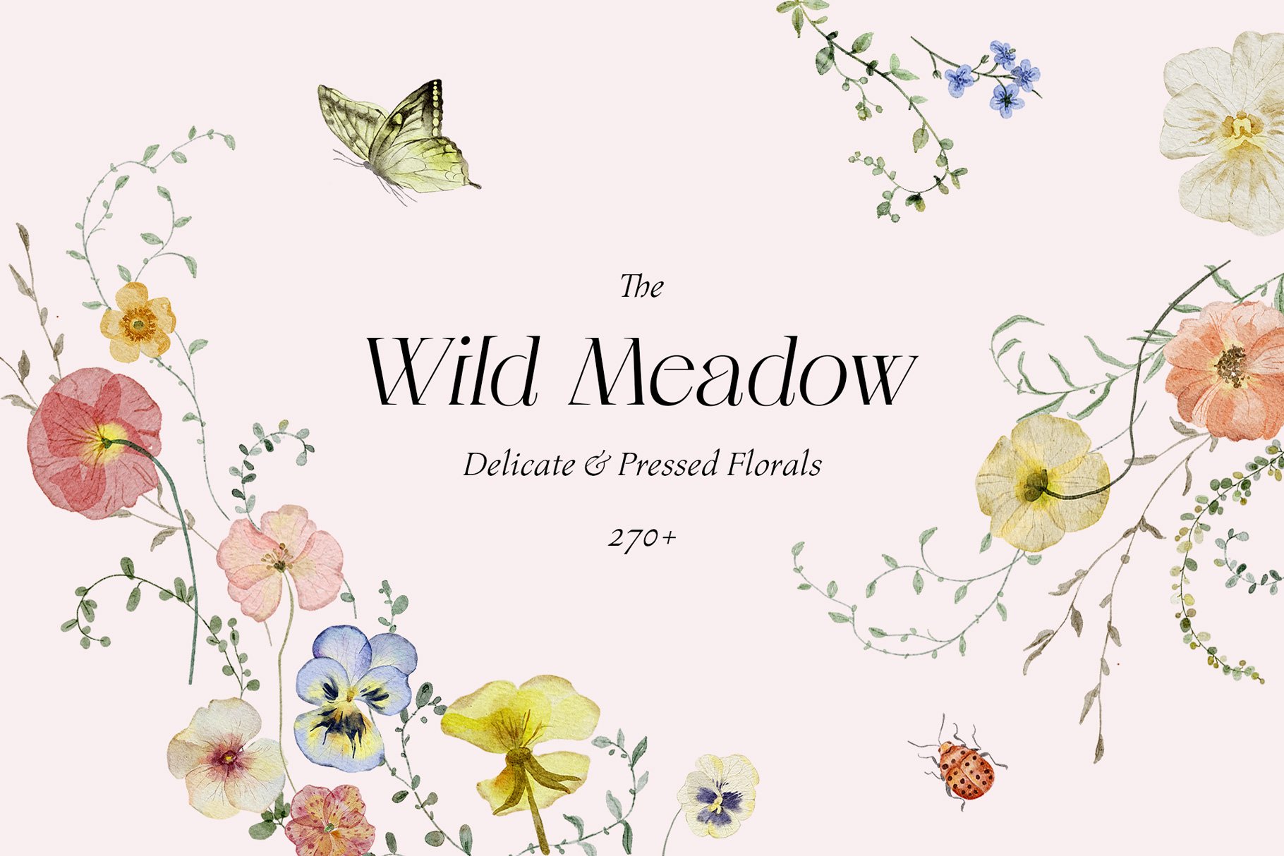 Wild Meadow - Delicate & Pressed cover image.