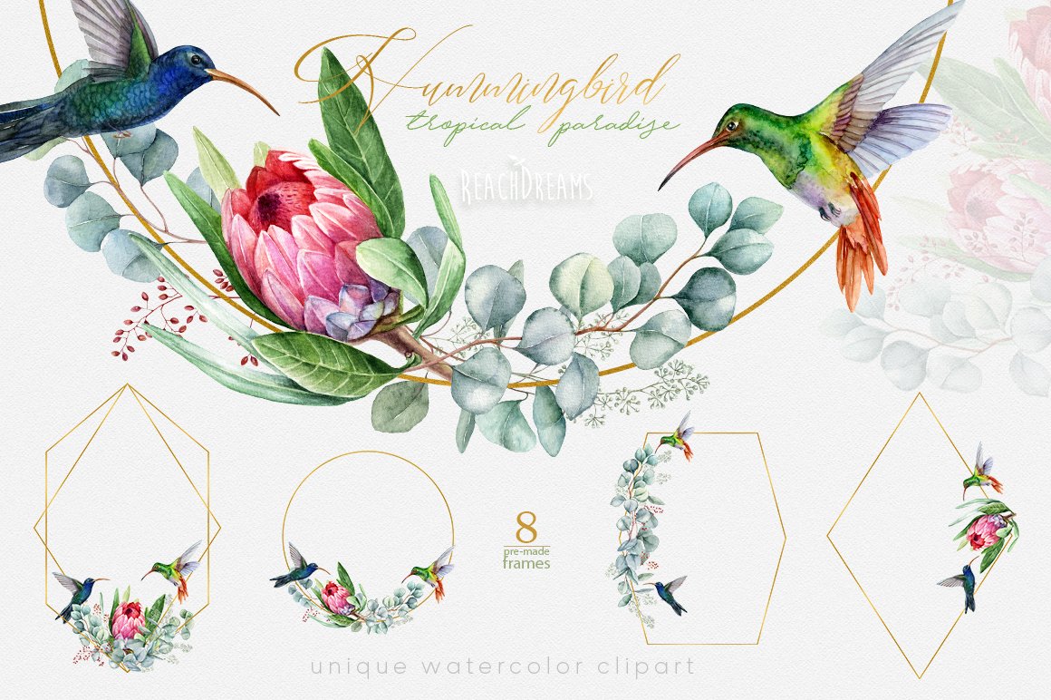 Hummingbird Birds Collection cover image.