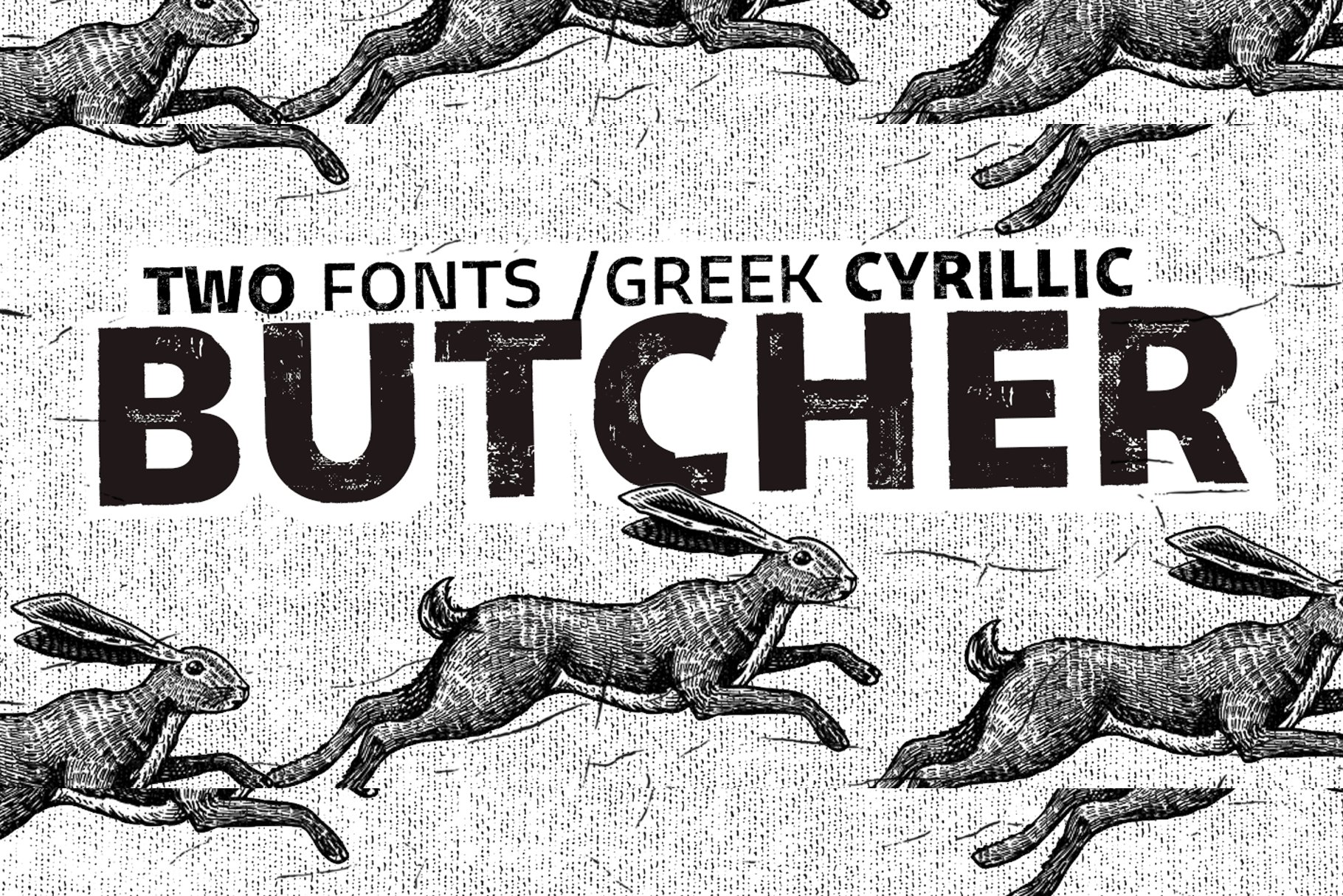 Butcher Fonts / Greek+Cyrillic -50% cover image.
