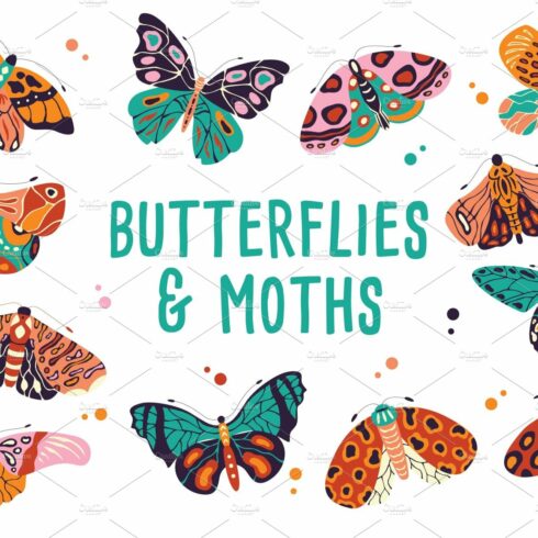 Spring Butterflies and Moths cover image.