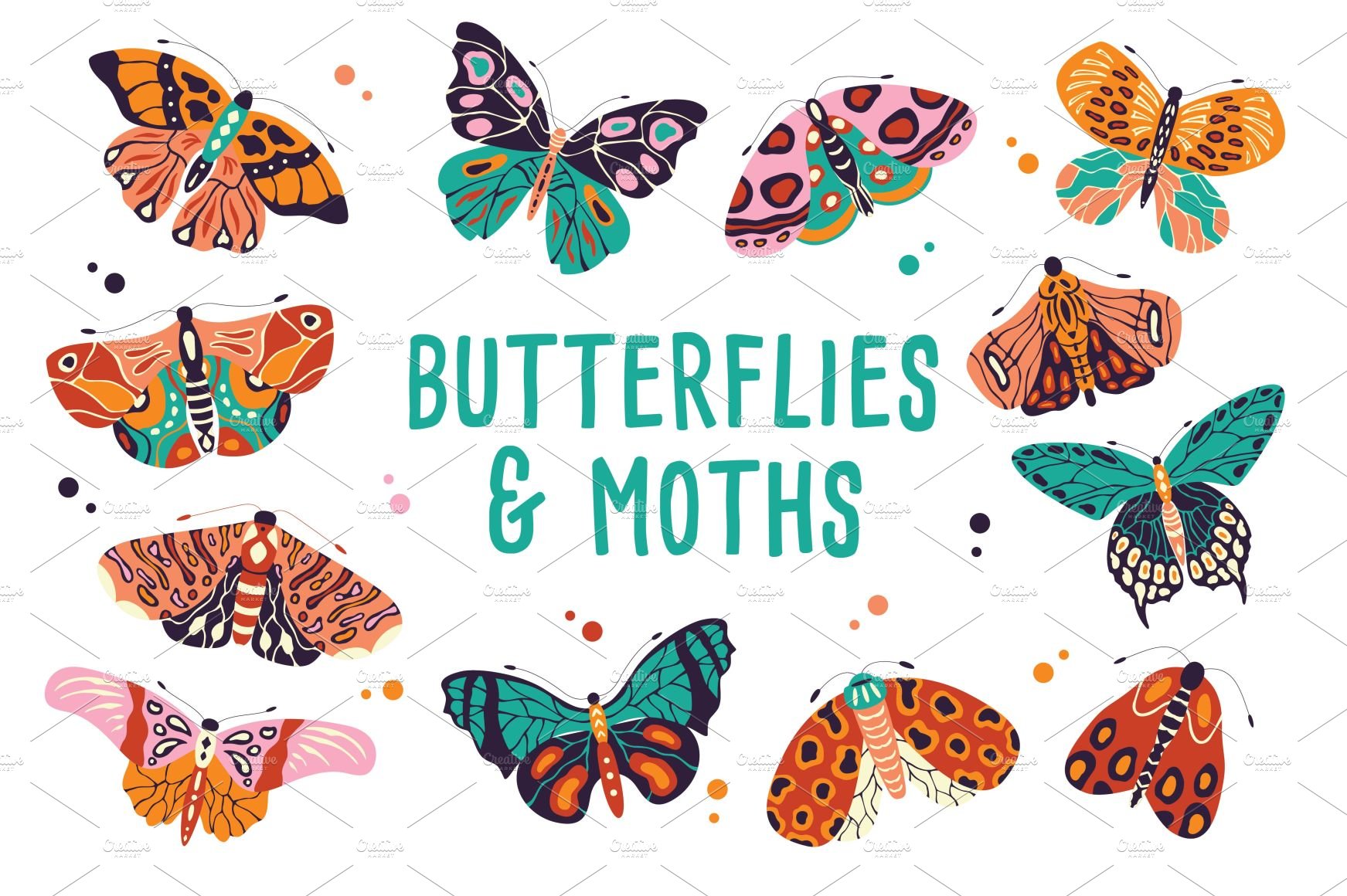 Spring Butterflies and Moths cover image.