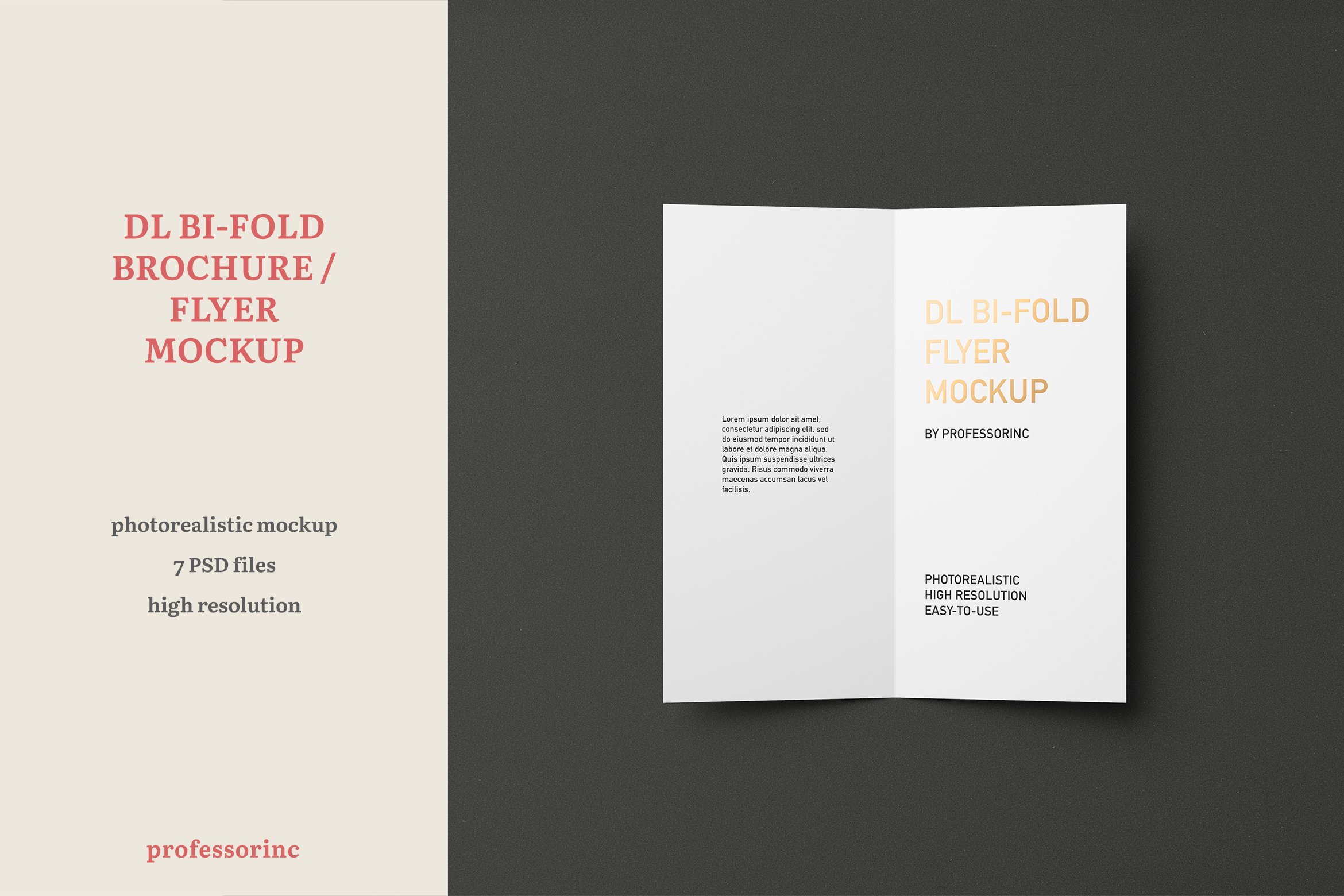DL Bi-Fold Flyer / Brochure Mockup cover image.