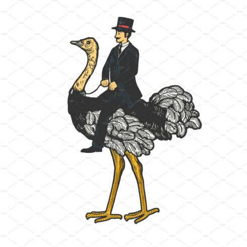 Gentleman riding an ostrich sketch cover image.