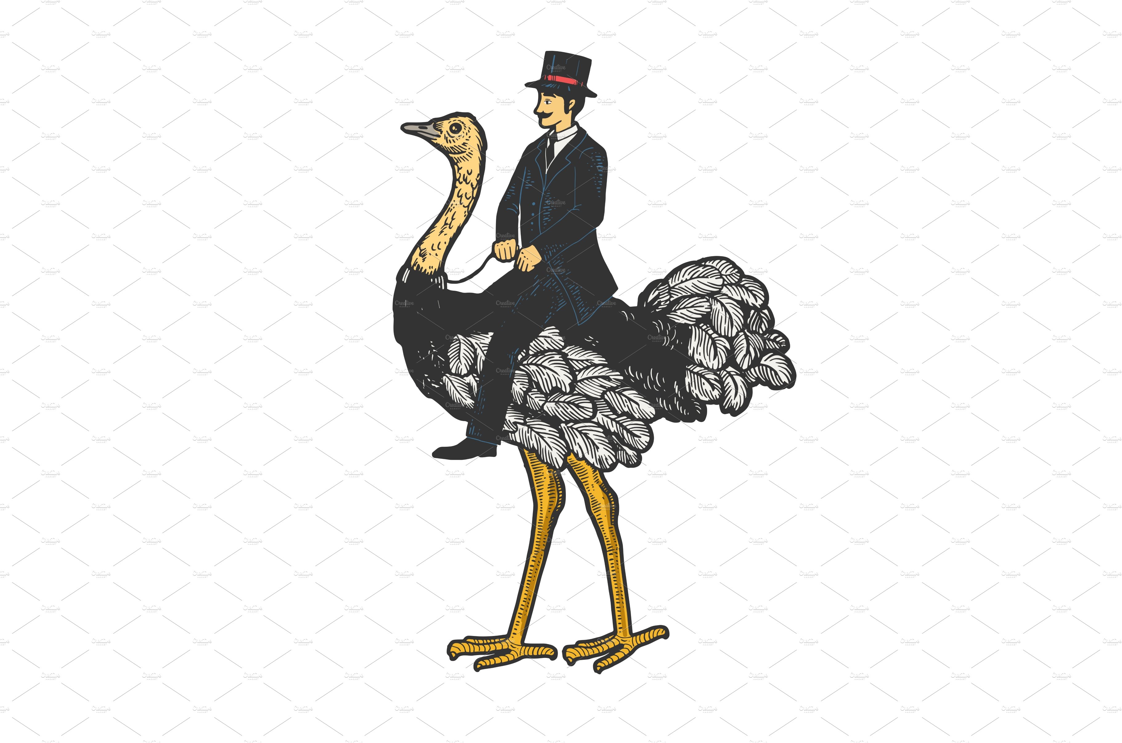 Gentleman riding an ostrich sketch cover image.