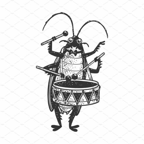 Cockroach drum sketch vector cover image.