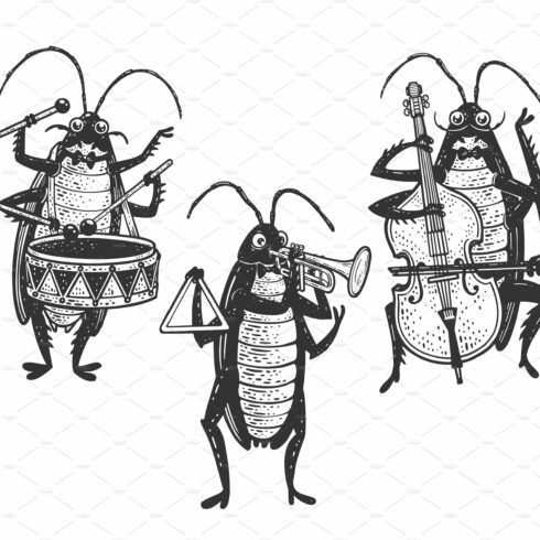 Cockroach orchestra sketch vector cover image.
