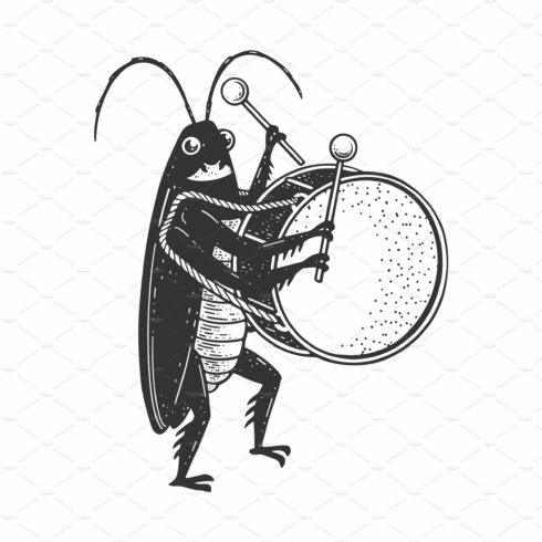 Cockroach big drum sketch vector cover image.