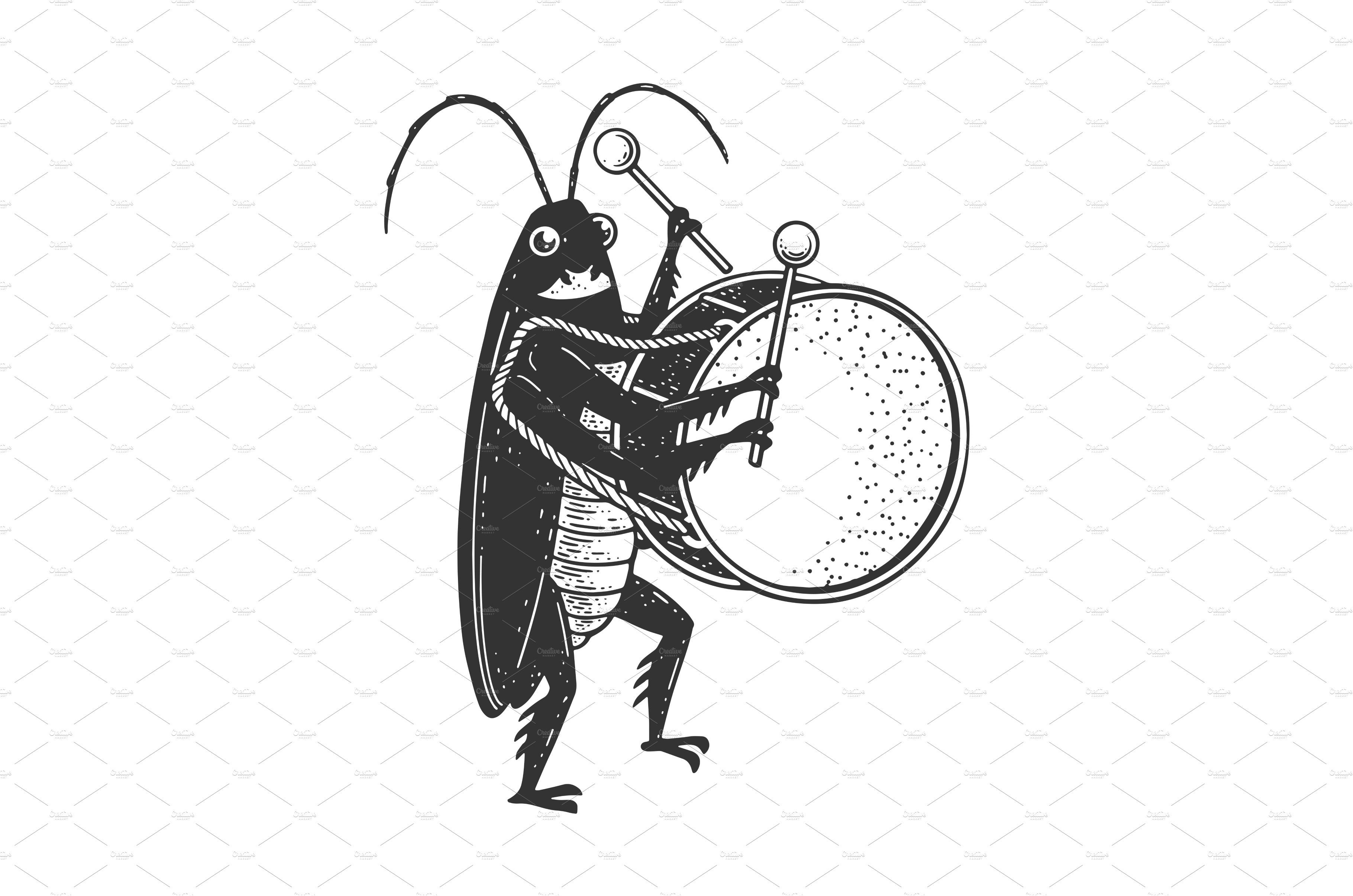 Cockroach big drum sketch vector cover image.